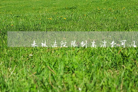 未被法院限制高消费可以坐飞机吗