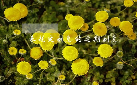 未规定利息的逾期利息 未规定利息的逾期利息