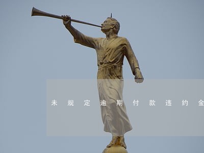 未规定逾期付款违约金 未规定逾期付款违约金