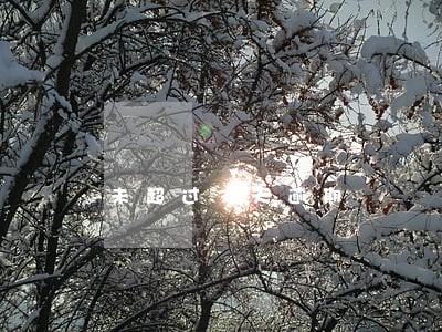 未超过3天逾期 未超过3天逾期