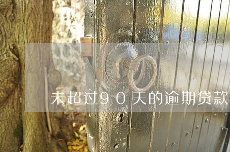 未超过90天的逾期贷款 未超过90天的逾期贷款