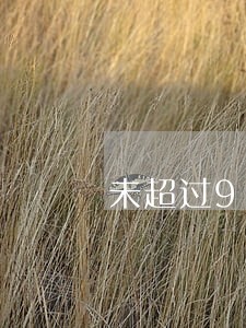 未超过90日的逾期 未超过90日的逾期