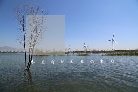 未过诉讼时效仍需付 未过诉讼时效仍需付