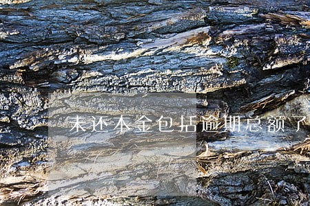 未还本金包括逾期总额了吗