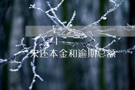 未还本金和逾期总额 未还本金和逾期总额