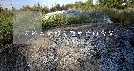 未还本金和逾期租金的含义 未还本金和逾期租金的含义