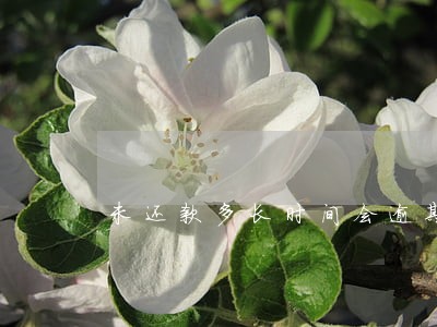 未还款多长时间会逾期 未还款多长时间会逾期
