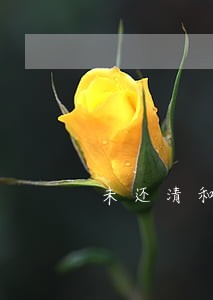 未还清和逾期有什么区别 未还清和逾期有什么区别