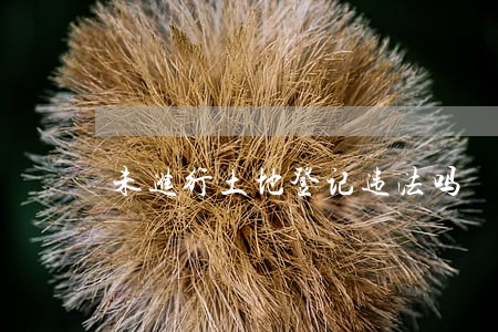 未进行土地登记违法吗 未进行土地登记违法吗