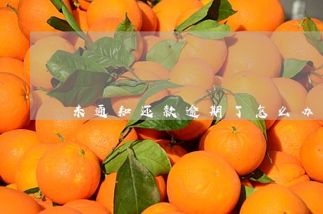未通知还款逾期了怎么办 未通知还款逾期了怎么办