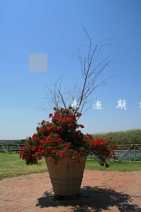 未逾期90天会拉黑吗 未逾期90天会拉黑吗