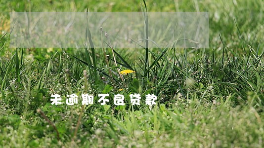 未逾期不良贷款 未逾期不良贷款