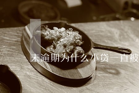 未逾期为什么小贷一直被拒绝 未逾期为什么小贷一直被拒绝