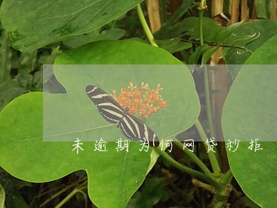 未逾期为何网贷秒拒 未逾期为何网贷秒拒