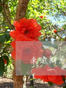 未逾期为啥受到影响征信短信 未逾期为啥受到影响征信短信