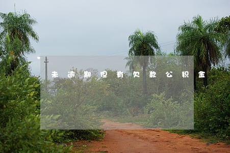 未逾期但有欠款公积金 未逾期但有欠款公积金