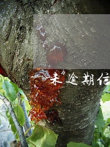 未逾期信用卡老打电话不接行不行 未逾期信用卡老打电话不接行不行