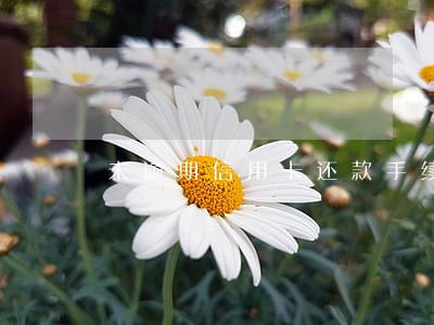 未逾期信用卡还款手续费 未逾期信用卡还款手续费