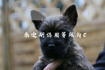 未逾期信用等级为C 未逾期信用等级为C