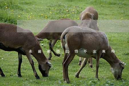 未逾期借款借不出来吗 未逾期借款借不出来吗
