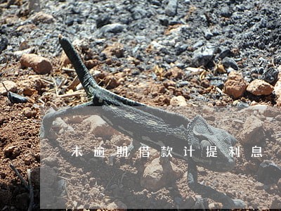 未逾期借款计提利息 未逾期借款计提利息