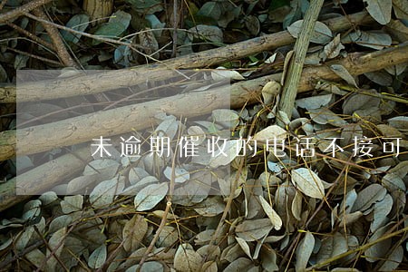 未逾期催收的电话不接可以吗 未逾期催收的电话不接可以吗