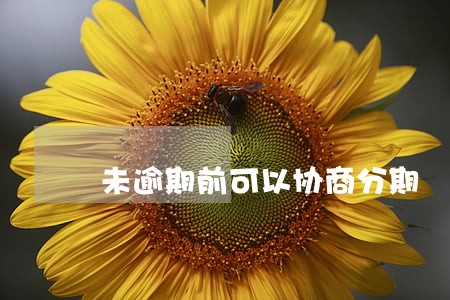 未逾期前可以协商分期 未逾期前可以协商分期