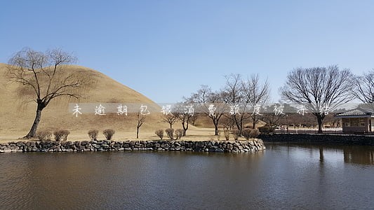 未逾期包银消费额度被冻结 未逾期包银消费额度被冻结