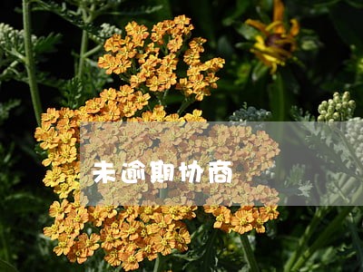 未逾期协商 未逾期协商
