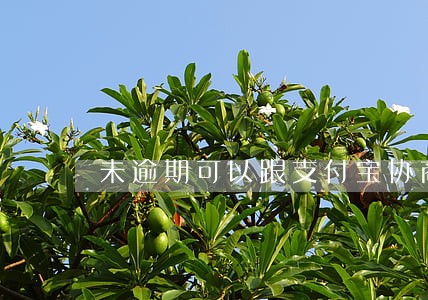 未逾期可以跟支付宝协商还款么 未逾期可以跟支付宝协商还款么