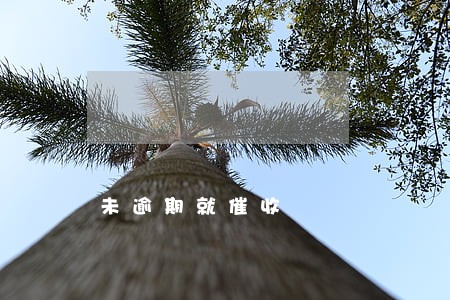 未逾期就催收 未逾期就催收