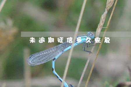 未逾期征信多久恢复 未逾期征信多久恢复
