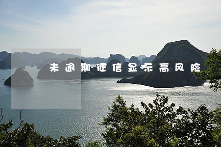 未逾期征信显示高风险 未逾期征信显示高风险