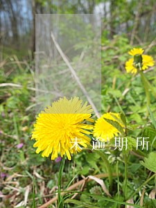 未逾期所有网贷被拒 未逾期所有网贷被拒
