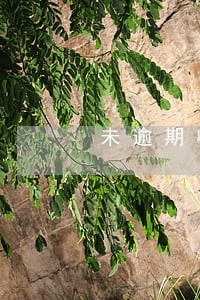 未逾期收到0518电话 未逾期收到0518电话