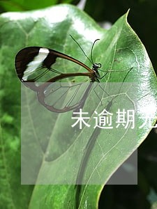 未逾期无法借钱 未逾期无法借钱