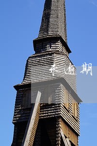 未逾期申报不予处罚