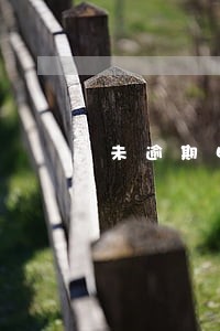 未逾期申报情况说明怎么写 未逾期申报情况说明怎么写