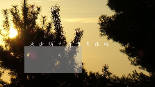 未逾期申请停息挂帐 未逾期申请停息挂帐