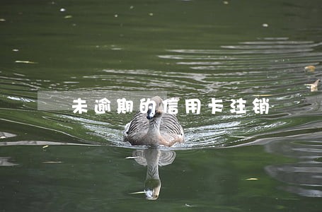 未逾期的信用卡注销