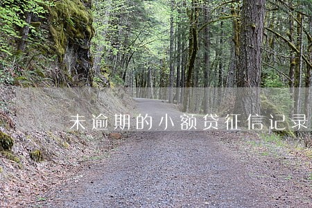 未逾期的小额贷征信记录 未逾期的小额贷征信记录