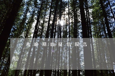 未逾期的征信报告 未逾期的征信报告