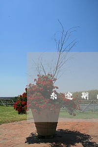 未逾期的征信记录能消除吗