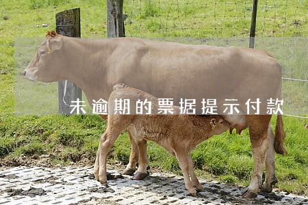 未逾期的票据提示付款