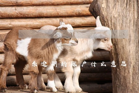 未逾期的账户什么意思 未逾期的账户什么意思
