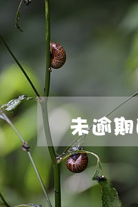 未逾期的账户明细34个 未逾期的账户明细34个