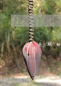 未逾期的账户明细7 未逾期的账户明细7