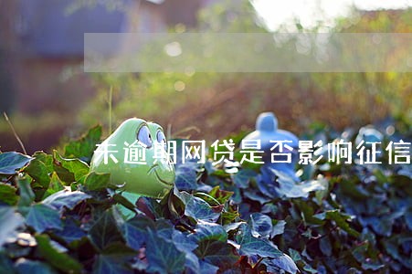 未逾期网贷是否影响征信