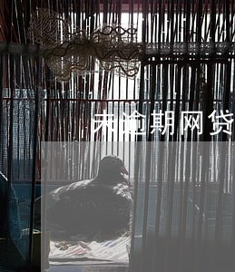 未逾期网贷黑名单 未逾期网贷黑名单