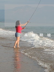 未逾期被冻结 未逾期被冻结